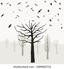 Halloween theme - spooky tree shapes, birds taking off. Scary desolate forest.