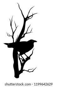 halloween theme vector silhouette design - black raven bird sitting on dry tree branch