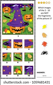 Halloween themed visual puzzle with witch hat, pumpkins and night scene: What of the 2 - 10 are not the fragments of the picture 1? Answer included.