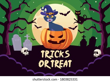 halloween tricks or treat lettering with cat in pumpkin vector illustration design