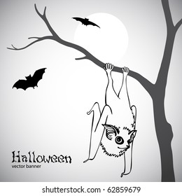 Halloween vector banner with bats