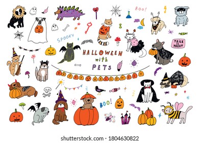Halloween vector cartoon cats  dogs  pumpkin illustrations set