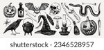 Halloween vector hand-drawn illustrations set. Skull, bones, potions, pumpkin head, poisonous mushrooms, snakes, raven sketches. Halloween design elements