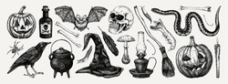 Halloween Vector Hand-drawn Illustrations Set. Skull, Bones, Potions, Pumpkin Head, Poisonous Mushrooms, Snakes, Raven Sketches. Halloween Design Elements