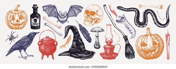 Conjunto de ilustraciones hechas a mano por vectores de Halloween. Calavera, huesos, pociones, cabeza de calabaza, setas venenosas, serpientes, bocetos cuervos. Elementos de diseño de Halloween. Invitación a la fiesta, impresión, pancarta, volante