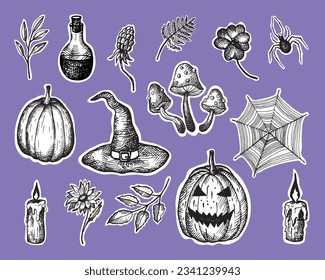 Halloween vector illustration background template for autumn holiday with pumpkin, lantern, toadstool, spider, plants, mystic symbols hand drawn. Design element for card, poster, polygraphy, banner
