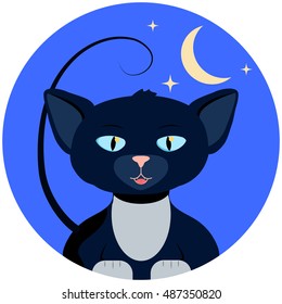 Halloween vector illustration with cat. White paw kitten in round blue background with moon and stars. Mysterious night of autumn celebration. Fall seasonal festival. Halloween cartoon character icon