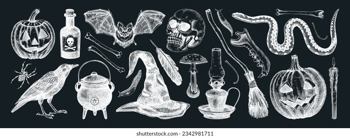 Halloween vector illustrations set on chalkboard. Skull, bones, pumpkin head, mushrooms, snakes, raven sketches. Hand drawn witchcraft and magic element for Halloween design, print, decoration