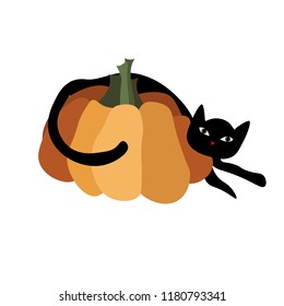 Halloween, vector pumpkin. Black cat.