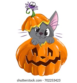 Halloween vector sticker with kitten, spider and pumpkin