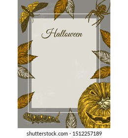 Halloween. Vintage color flyer with pumpkin, butterfly dead head, spider, caterpillar and autumn leaves. Engraving style. Vector illustration.