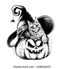 Halloween. Wall sticker. Hand-drawn sketch of cute kitten in a hat lies on a pumpkin.	
