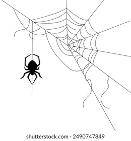 Halloween web with spider background for party. Isolated objects on a transparent background