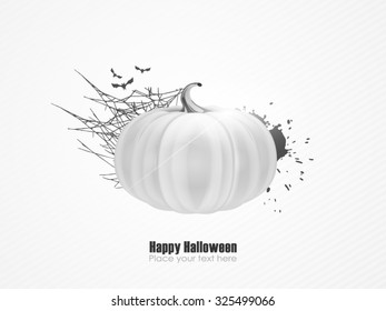 Halloween white pumpkin vector illustration
with scary bats and grunge