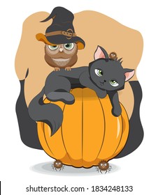 Halloween wink black cat. owl in witch hat and spider on pumpkin, Picture in hand drawing cartoon style, for t-shirt wear fashion print design, greeting card, postcard. baby shower. party invitation.