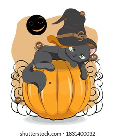 Halloween wink black cat in witch hat and spider on pumpkin, Picture in hand drawing cartoon style, for t-shirt wear fashion print design, greeting card, postcard. baby shower. party invitation.