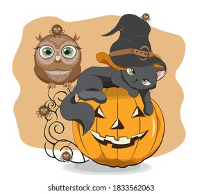 Halloween wink black cat in witch hat. owl and spider on pumpkin, Picture in hand drawing cartoon style, for t-shirt wear fashion print design, greeting card, postcard. baby shower. party invitation.