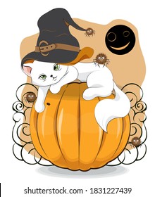 Halloween wink white cat in witch hat and spider on pumpkin, Picture in hand drawing cartoon style, for t-shirt wear fashion print design, greeting card, postcard. baby shower. party invitation.