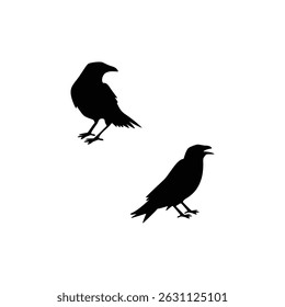 Halloween Witch and Crow Silhouette Vector Spooky Isolated Design Template on White Background for Holiday Decorations and Themed Projects