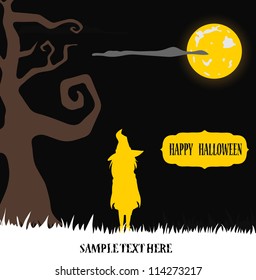Halloween witch standing in moon light on grass