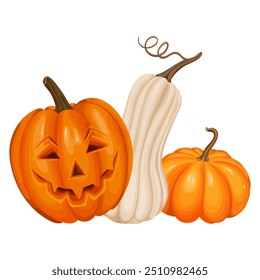 A Halloween-themed vector illustration of three pumpkins, one of which is carved with a classic lantern face, conveying the festive and spooky spirit of the season.