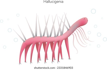 Hallucigenia is an extinct genus of aquatic animal lived in a Cambrian period. 