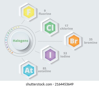 Halogens. 7A group of the periodic table. Vector illustration in neomorphism style. Chemical infographics. Poster. Fluorine, chlorine, bromine, iodine, astatine.