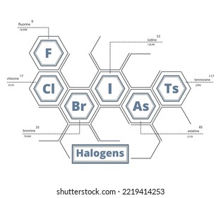 Halogens. Group 17 (6A) of the Periodic Table of Elements. Fluorine, chlorine, iodine, astatine, tennessine in a hexagon. Honeycombs.Chemistry study poster. Vector