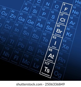 The halogens, a group of chemically related elements in the periodic table. Fluorine, chlorine, bromine, iodine, and the radioactive elements astatine and tennessine, also known as group 17. Vector