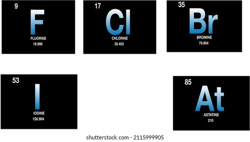 Halogens , vector illustration of  chemical atomic symbols , periodic table fluorine chlorine bromine iodine and astatine