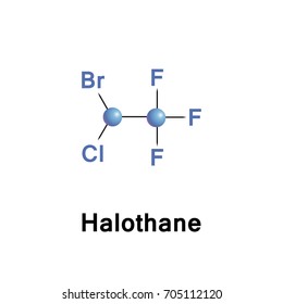 Halothane is a general anesthetic. It can be used to start or maintain anaesthesia. 