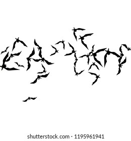 Haloween background with black bats on white. Haloween party card background template. black flying bats.
