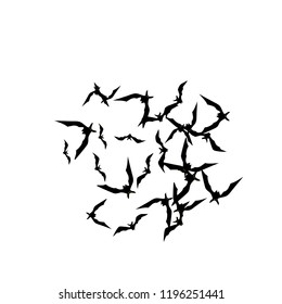 Haloween background with black bats on white. Haloween party card background template. black flying bats.
