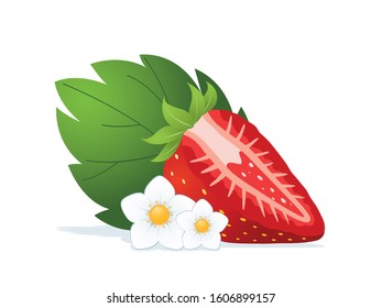 Halve strawberry , blossom and leaf isolated on white background.