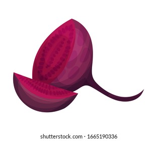 Halved Beet Root with Red Core Vector Illustration