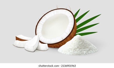 Halved coco fruit with several pieces, palm leaves and pile of coconut flakes isolated on gray background. Realistic vector illustration. Side view.
