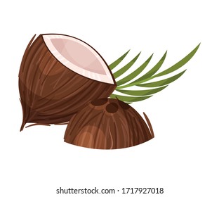 Halved Coconut with Hard Shell and Fibrous Husk and Pinnate Leaf Vector Illustration