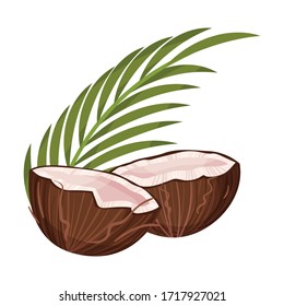 Halbierte Kokosnuss mit Hard Shell und Fibrous Husk und Pinnate Leaf Vektorillustration Illustration