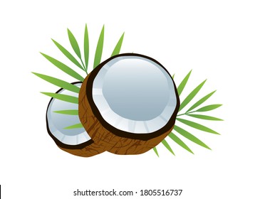 Halved coconut with palm leaves icon vector. Coconut icon isolated on a white background. Whole and half coconut with green palm leaf vector