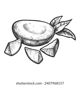 Halved edible exotic fruit sketch. Vector illustration of mango as tropic garden or farm harvest. Natural and organic vitamin ingredient. Tropic agriculture image for cooking recipe, botany or biology