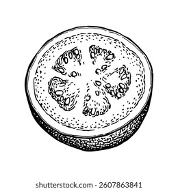 Halved guava. Sliced guava ink sketch.