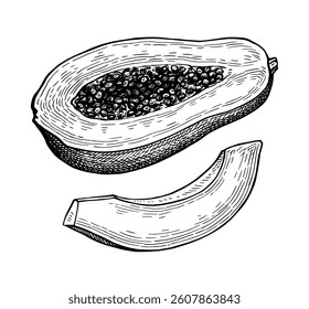 Halved papaya and slice. Ink sketch isolated on white background. Hand drawn vector illustration. Retro style.