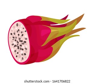 Halved Pitaya or Dragon Fruit Covered with Leathery Leafy Skin Vector Illustration
