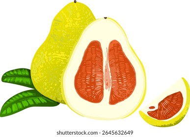 Pomelo dividido exibido com folhas verdes. Ideal para alimentos, saúde ou conteúdo visual com temas botânicos
