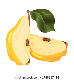 Halved Quince Showing Light Flesh with Seeds Vector Illustration