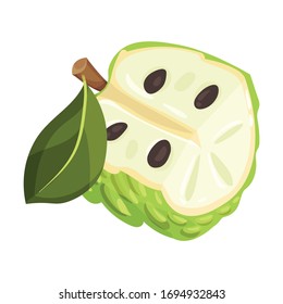 Halved Soursop Fruit or Guanabana with Dark Green Rind Covered with Thick Thorns Vector Illustration