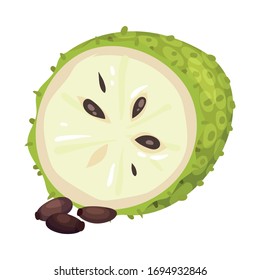 Halved Soursop Fruit or Guanabana with Dark Green Rind Covered with Thick Thorns Vector Illustration