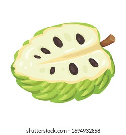 Halved Soursop Fruit or Guanabana with Dark Green Rind Covered with Thick Thorns Vector Illustration