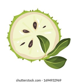 Halved Soursop Fruit or Guanabana with Dark Green Rind Covered with Thick Thorns Vector Illustration
