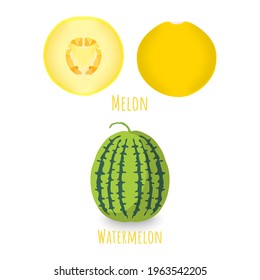 Halved and whole melons isolated on white background. Striped , vibrant apricot with little tail. Vibrant yellow melon with seeds. Flat vector with shadows. Vector EPS 10 illustration